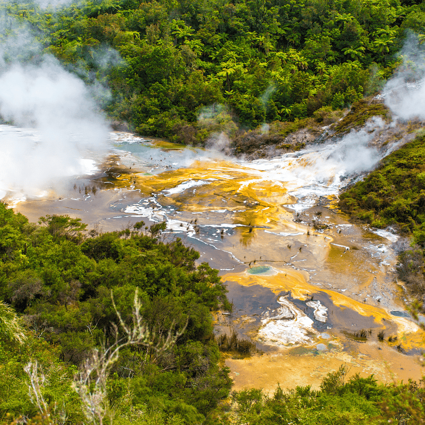The Hidden Valley - a significant geothermal attraction in New Zealand