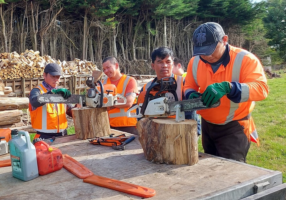 STIHL Chainsaw Course