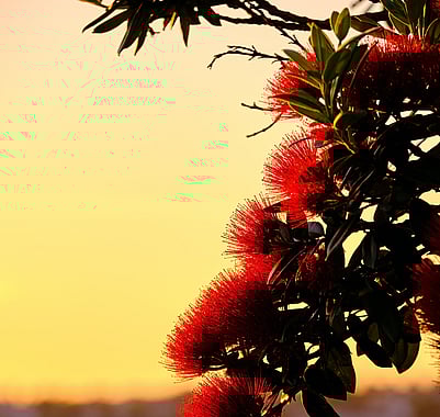 The Christmas Story told in Luke seems like a mess!