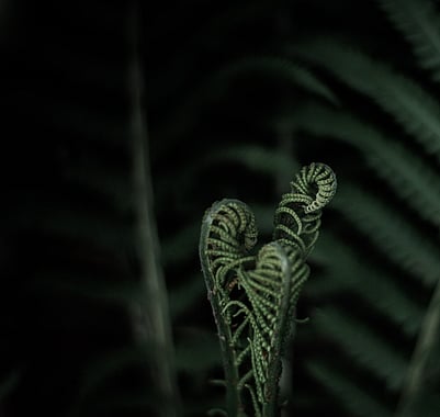 The next season of ministry will bring conflict, are we navigating conflict at the foot of the cross?