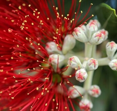 Matthew 1:18-2:18 reminds us there is hope in a horrible year.  Mary knows a horrible year...