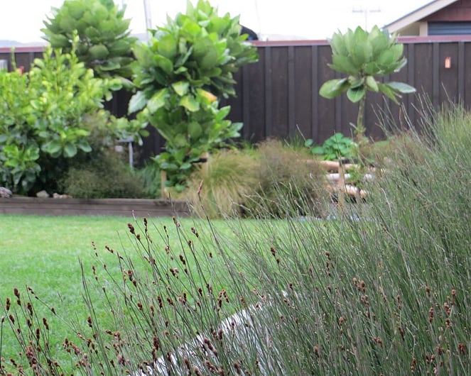 Waimarama - Alexia Hamelink - Landscape Architect