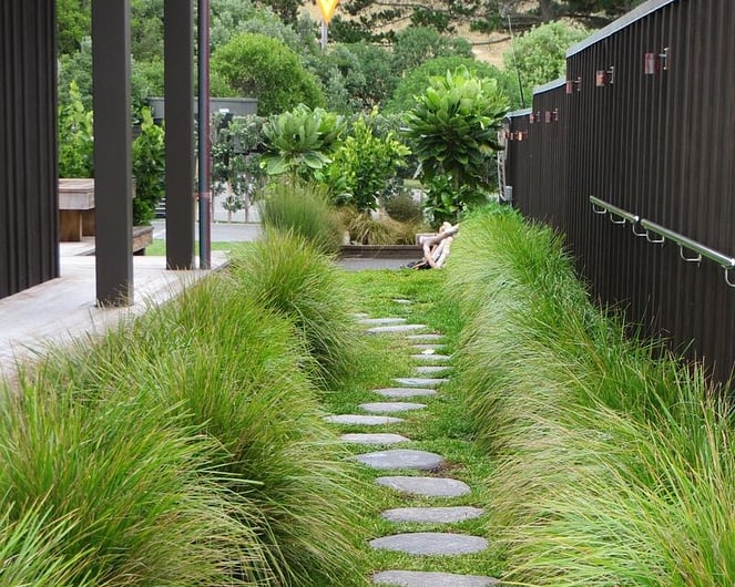 Waimarama Alexia Hamelink - Landscape Designer