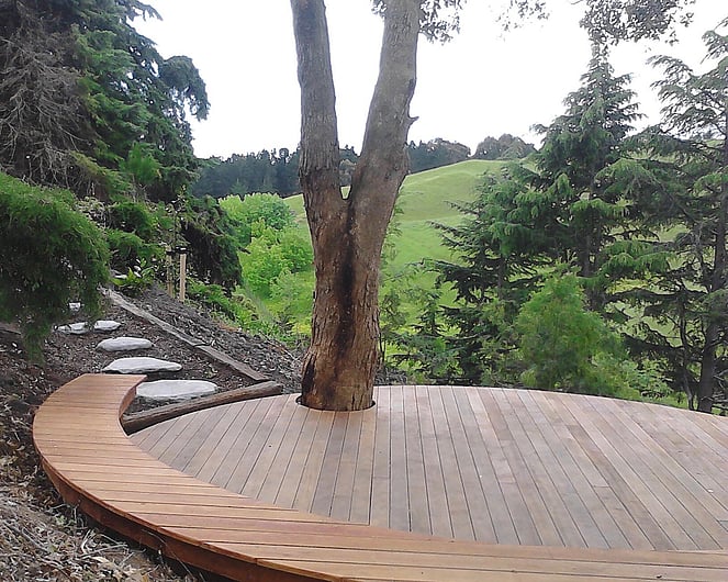 Landscape Designer Hawkes Bay