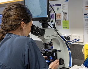 Why an in-house laboratory matters