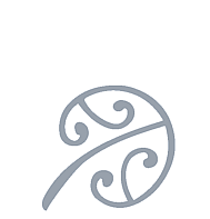 Traditional Māori Therapy