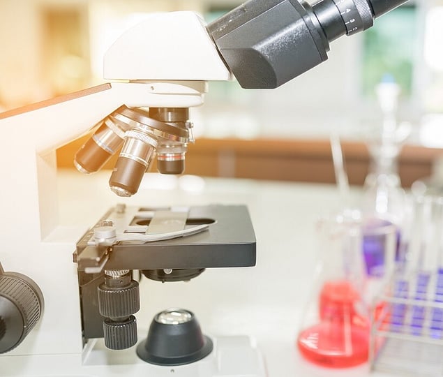 Helicobactor Pylori (H.pylori)