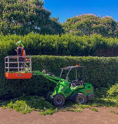 arborist trimming hedge