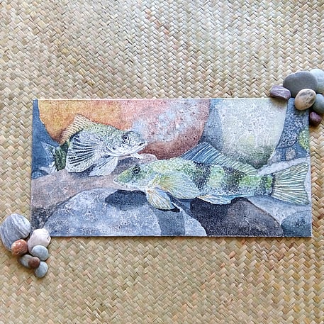 Torrentfish / Panoko artwork