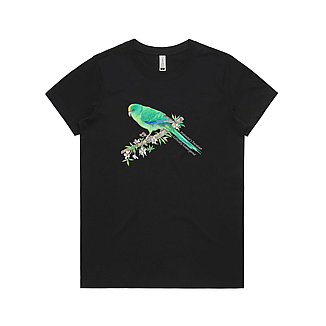 Malherbe's Parakeet/Orange-fronted Parakeet /Kākāriki karaka