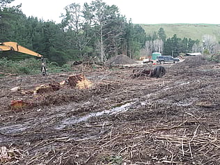Site clearance, house site, landscaping, Hawke's Bay, Hastings, House development, section, Earthmoving Hawke's Bay