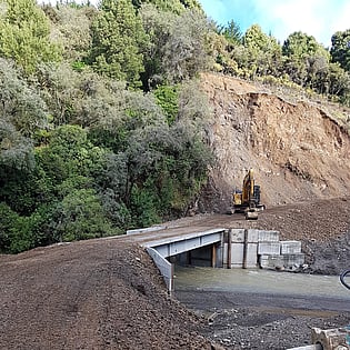 Hawke's Bay Forest Bridge, inserting a new bridge in Hastings Forest, Hawke's Bay Forest Bridge, Landscaping Hawke's Bay