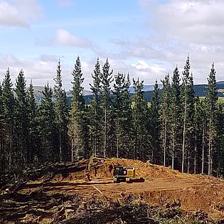 Earthmoving in Hastings, Skid site development in Hawke's Bay, Forestry Services in Hawke's Bay, Hastings Forestry Service for skid sites, maintenance of a skid site in Hawke's Bay
