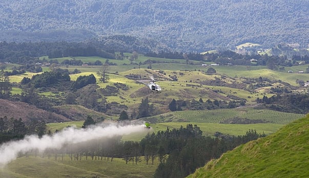 Time for nutrient efficiency