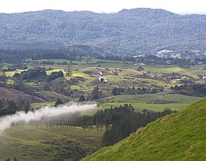 Time for nutrient efficiency