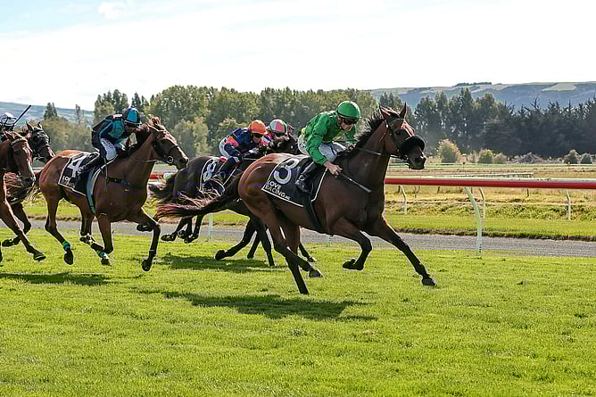 Noble Knight winning the Listed Dunedin Gold Cup (2400m) at Wingatui on Saturday. - Photo: Monica Toretto