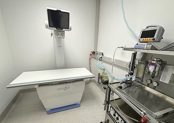 In-house X-rays help our vets see clearly and make informed decisions quickly.