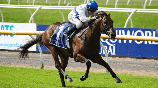 Savaglee winning the Gr.1 New Zealand 2000 Guineas (1600m). - Photo: Race Images