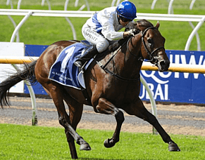 Group One winner Savaglee retired