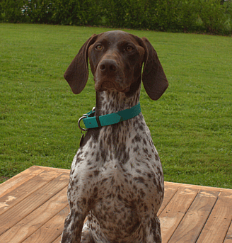 Lexie - Receptionist