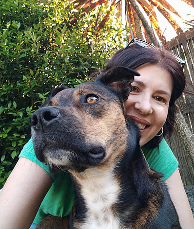 a brindle dog looking to distance with woman smiling behind her