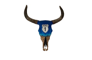 Visa -&nbsp; Mastercard  - Bank Deposit