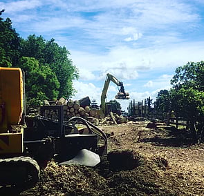 Stump Grinding Hamilton