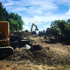 Stump Grinding Hamilton