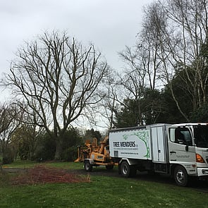 Tree Pruning hamilton
