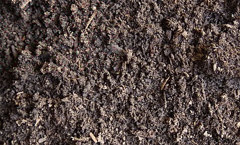 Lawn Soil, Lawn Mix