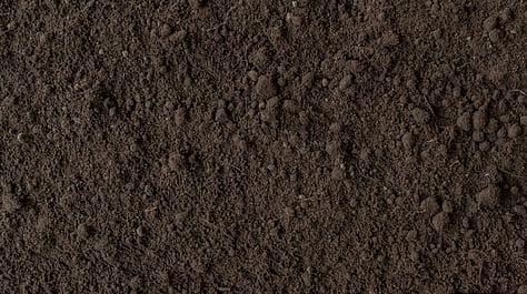 Topsoil