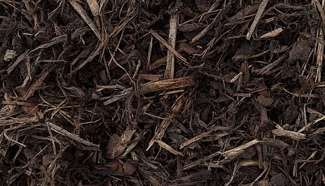 Bark Mulch, Forest floor