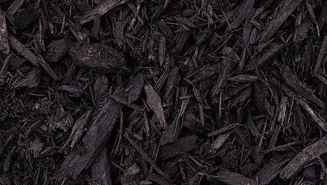 Black Mulch