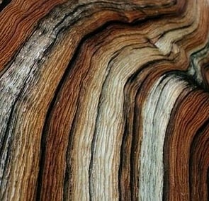 Browns - Earthy & Mellow