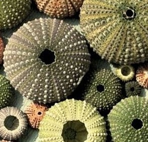 GREENS -  Good Enough to Mow