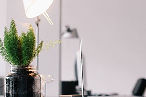 Licence Translations - Translations of driver licences for conversion to a NZ licence.