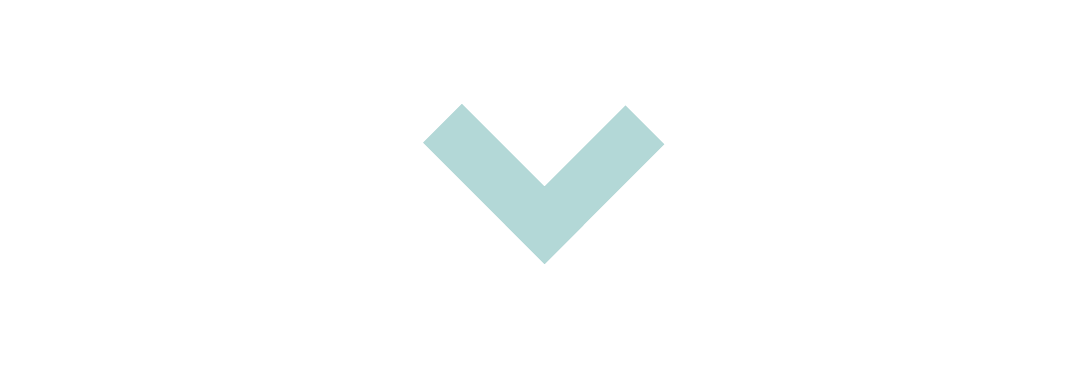 New Zealand Metro logo