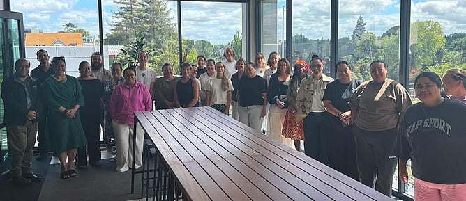 Te Manawa Taki Region HHI Providers