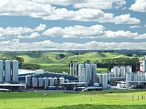 Food & Dairy Compliance