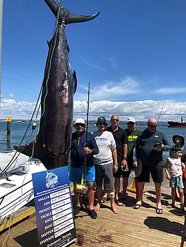 Mount Maunganui Sports Fishing Club
