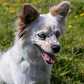 DONATE VIA ONLINE PAYMENT - Make payments via credit card through the payment gateway Stripe