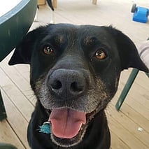 GIVE US YOUR IDEAS - Do you want to organise some fundraising at your work, run a raffle, or have a business wanting to donate? Click picture to get in touch with us.