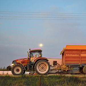 Photo courtesy of Grain & Food