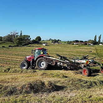 Photo courtesy of Alastair