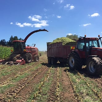 Photo courtesy of John & LeeAnn