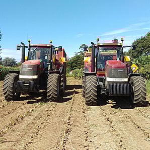 Photo courtesy of Aaron