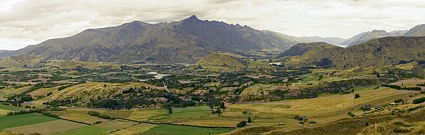 Membership - Over 450+ members from across the country