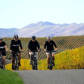 Bike touring in Marlborough