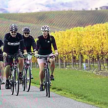 Self guided wine bike tour Marlborough