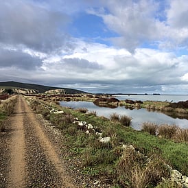 LITTLE RIVER RAIL TRAIL - CHRISTCHURCH - SELF-GUIDED